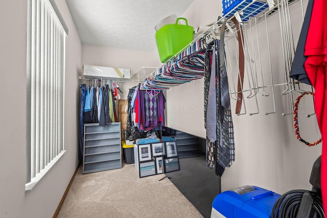 walk in closet with carpet flooring