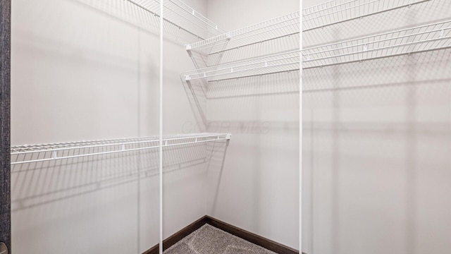 walk in closet with carpet