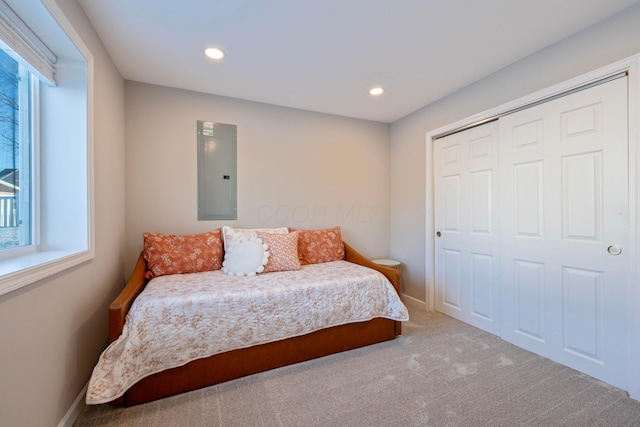 bedroom with carpet, a closet, multiple windows, and electric panel