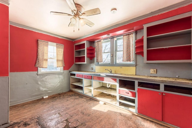 kitchen with sink, ceiling fan, ornamental molding, and dark hardwood / wood-style floors