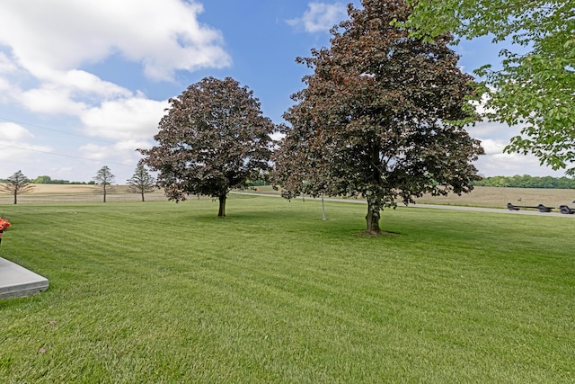 view of yard