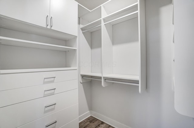 spacious closet with dark wood-type flooring