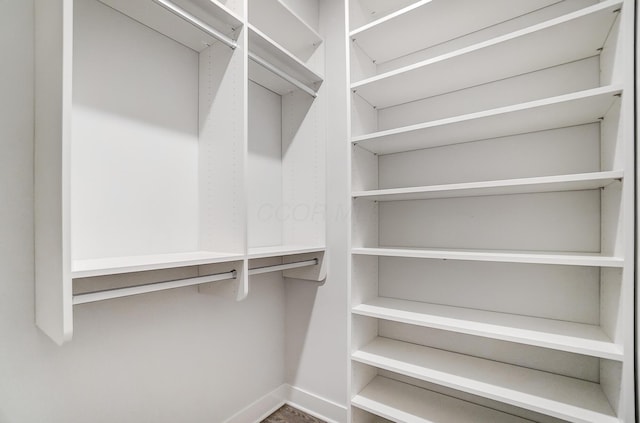 view of spacious closet