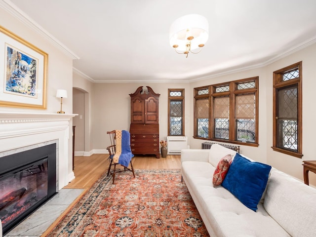 living room with light hardwood / wood-style floors, radiator heating unit, and ornamental molding