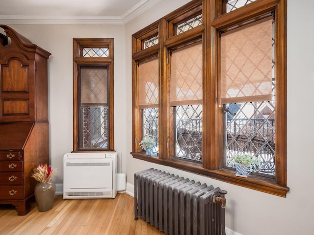 interior space with radiator, crown molding, light hardwood / wood-style flooring, and heating unit