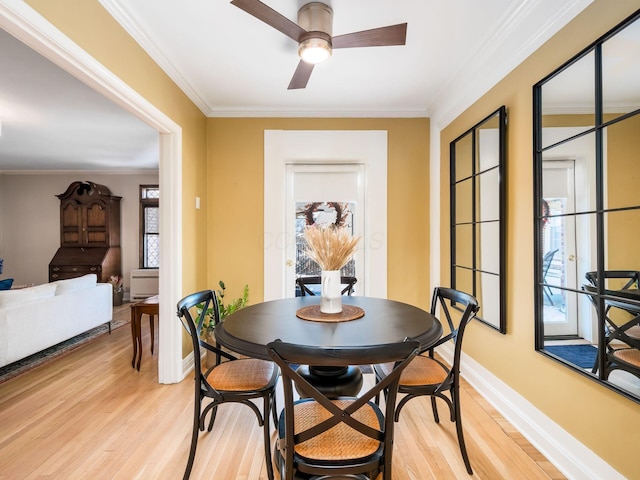 dining space with light hardwood / wood-style floors, crown molding, and ceiling fan