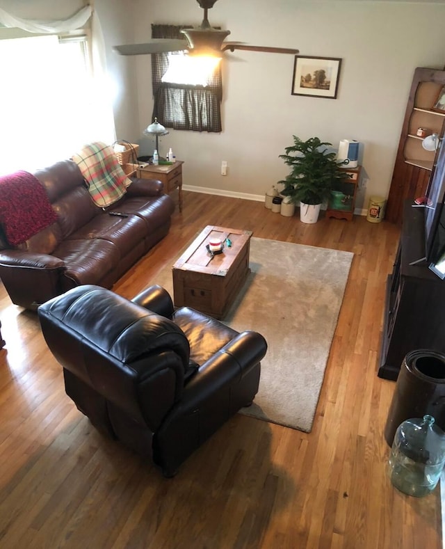 living room with ceiling fan and hardwood / wood-style floors