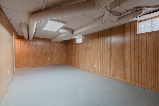 basement with wooden walls