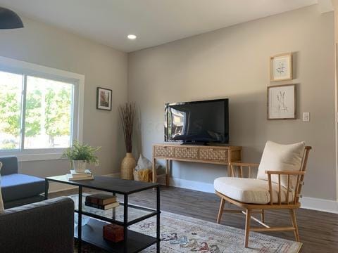 living room with dark wood-type flooring