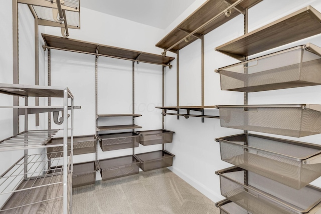 walk in closet featuring carpet flooring