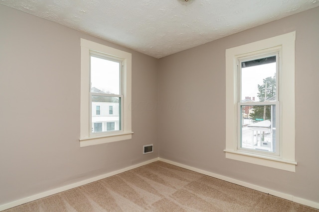 spare room featuring light colored carpet, a wealth of natural light, and a textured ceiling