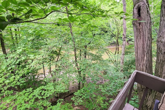 view of local wilderness