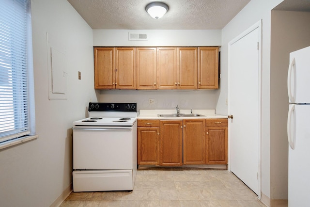 kitchen with sink, white appliances, and a textured ceiling