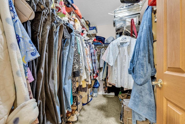 spacious closet with carpet floors