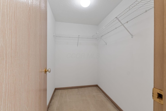 walk in closet featuring light colored carpet