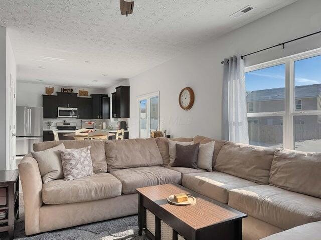 living area with a textured ceiling, plenty of natural light, and visible vents