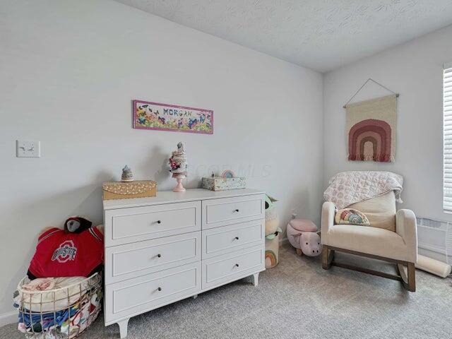 living area featuring a healthy amount of sunlight, light carpet, and a textured ceiling