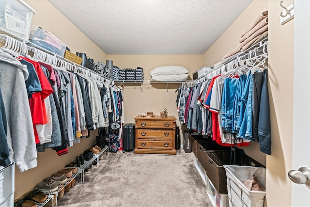 spacious closet featuring carpet