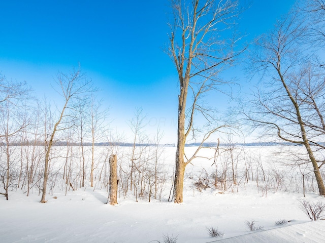 view of yard covered in snow