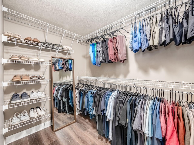 spacious closet with hardwood / wood-style floors