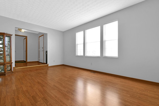 spare room with wood-type flooring, a textured ceiling, and a wealth of natural light