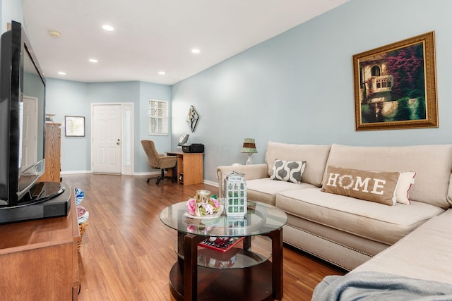 living room with wood-type flooring