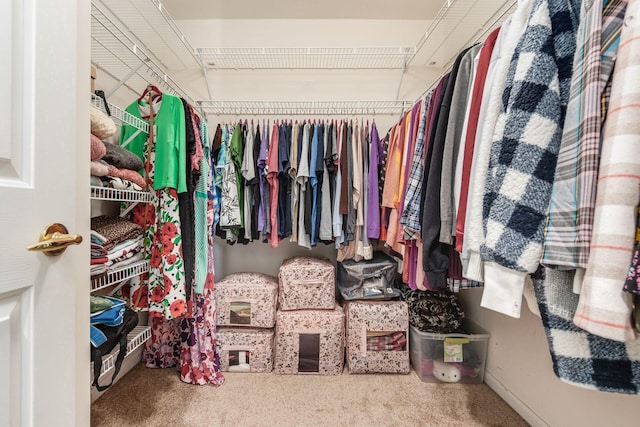 walk in closet with carpet