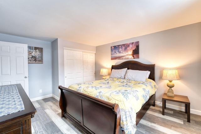 bedroom with a closet and wood-type flooring