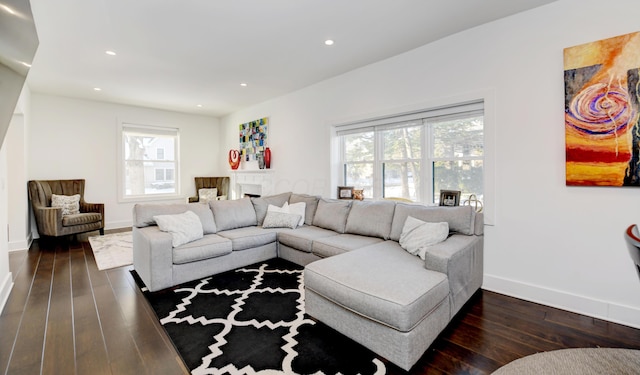 living room with dark hardwood / wood-style floors