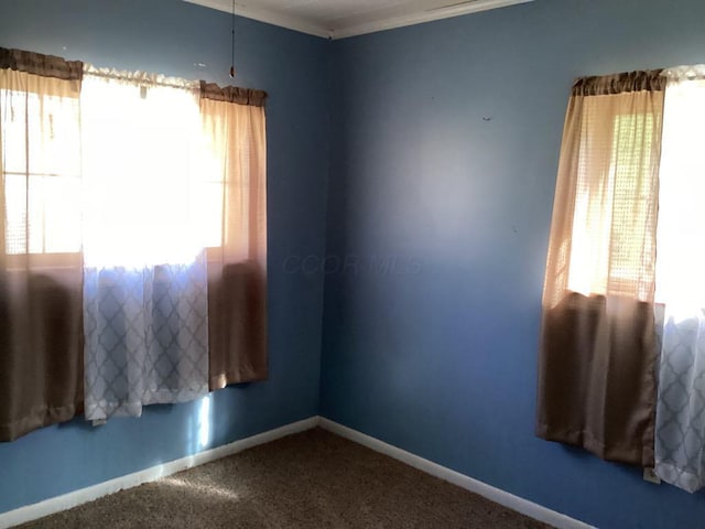 spare room with carpet and crown molding