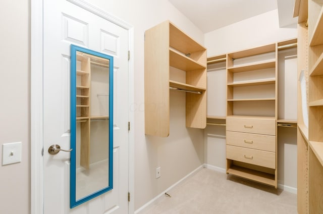 spacious closet with light colored carpet