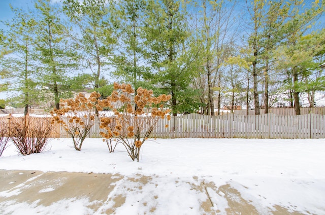 view of yard covered in snow