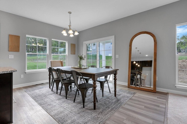 dining room with light wood-style flooring and a wealth of natural light