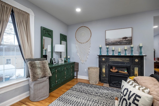 sitting room featuring light hardwood / wood-style floors and plenty of natural light