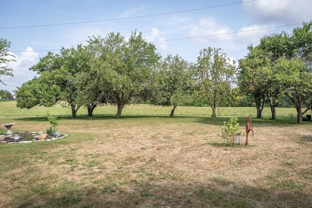 view of yard
