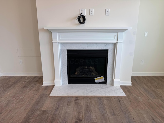 room details featuring wood-type flooring and a premium fireplace