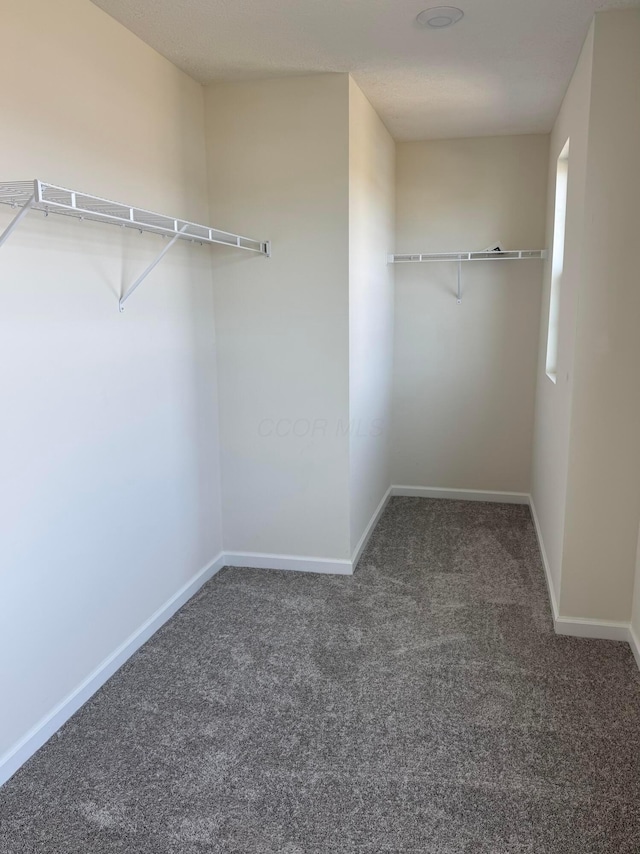 walk in closet with dark colored carpet