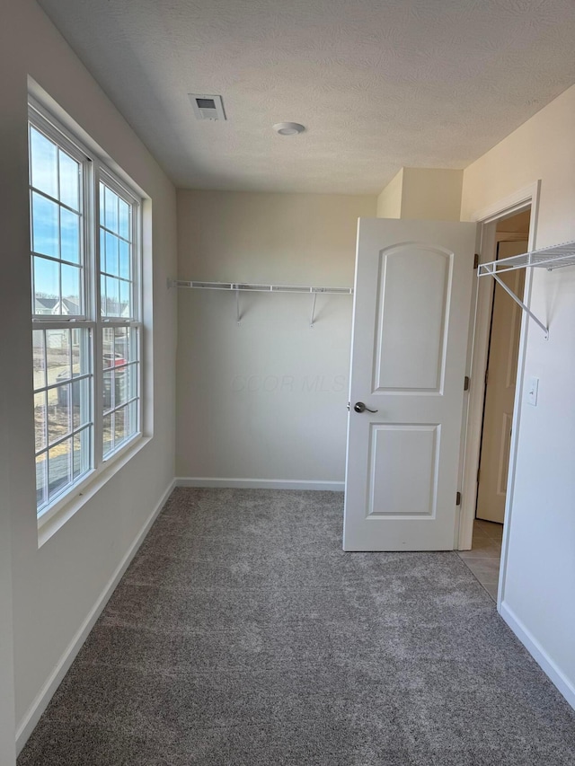 spacious closet with carpet