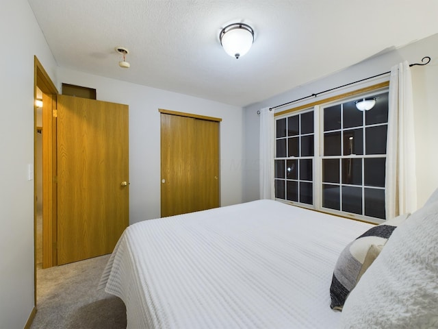 carpeted bedroom featuring a closet