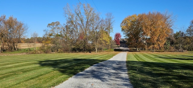 view of home's community with a yard