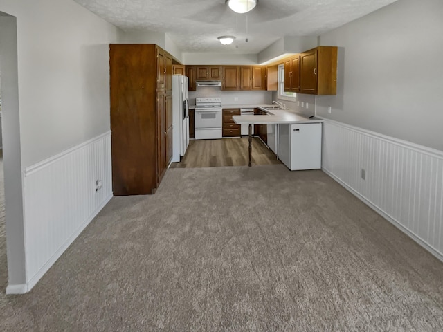 kitchen featuring white appliances, light carpet, a textured ceiling, and sink