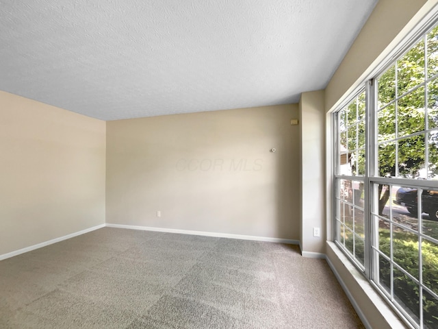 carpeted spare room with a textured ceiling