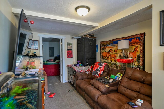 22 Fairlawn Ave, Glouster, OH 45732 - carpeted living room with beam ceiling