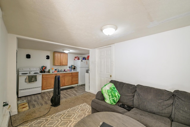 22 Fairlawn Ave, Glouster, OH 45732 - living area with wood finished floors and baseboards
