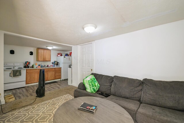 22 Fairlawn Ave, Glouster, OH 45732 - living area with wood finished floors