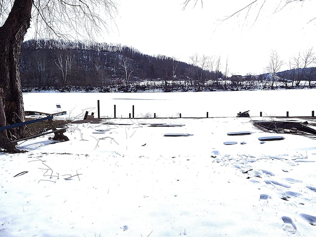 view of yard covered in snow