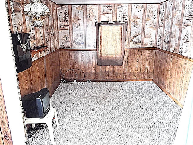 spare room with carpet flooring and wood walls