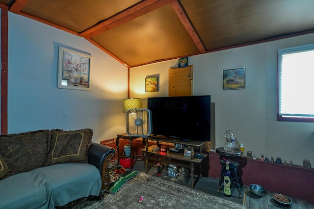 18 N Ave, Glouster, OH 45732 - living room with vaulted ceiling