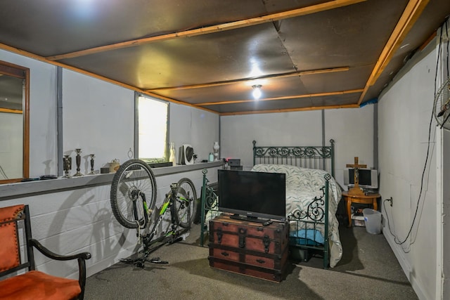 18 N Ave, Glouster, OH 45732 - below grade area with carpet floors