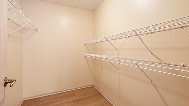 walk in closet featuring hardwood / wood-style flooring